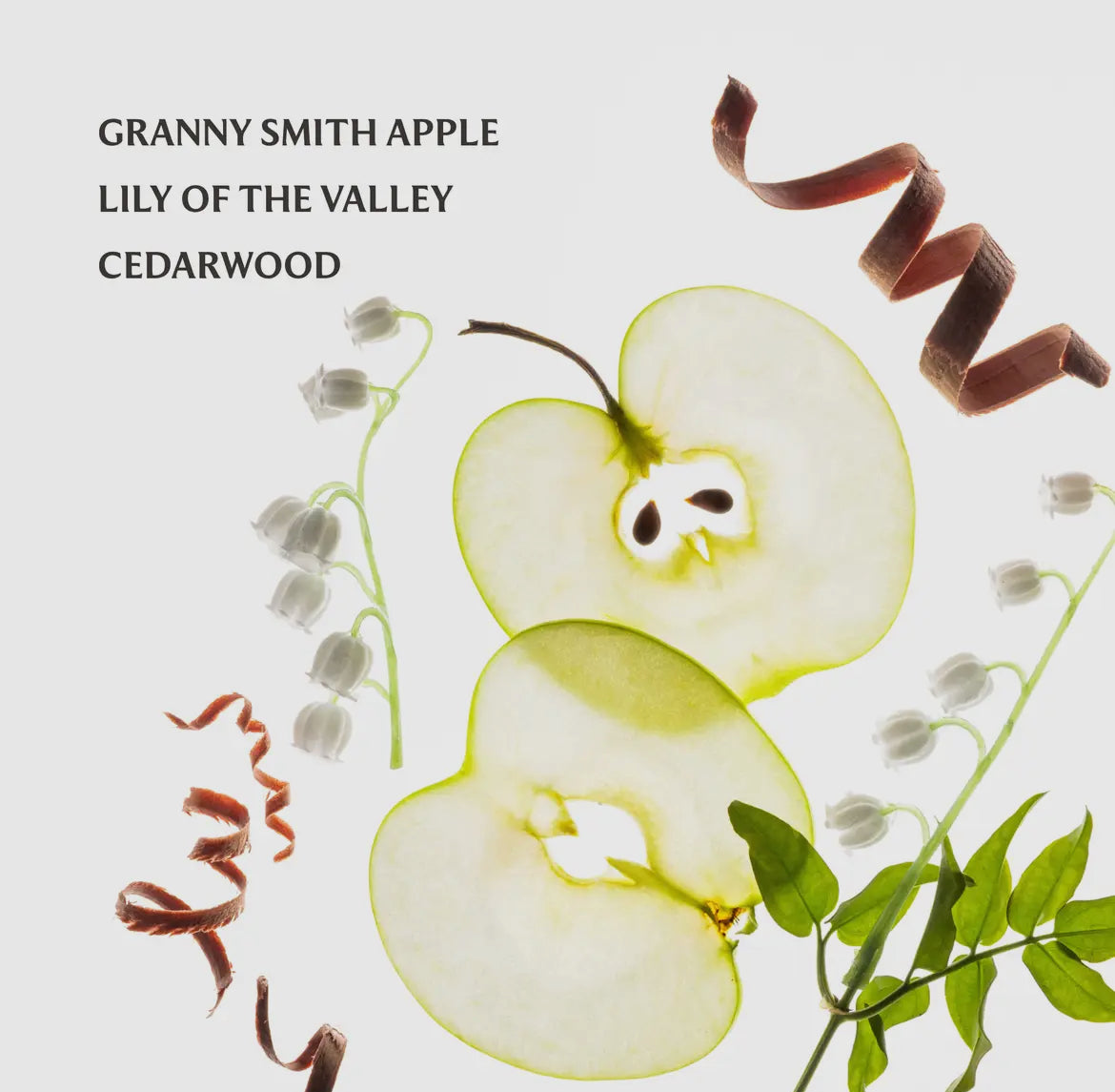 Touchland Applelicious Power Mist Hand Sanitizer