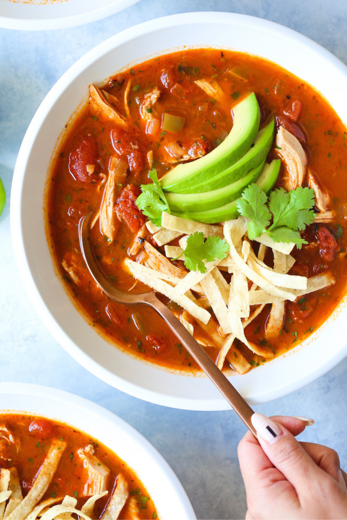 Tortilla Soup Mix