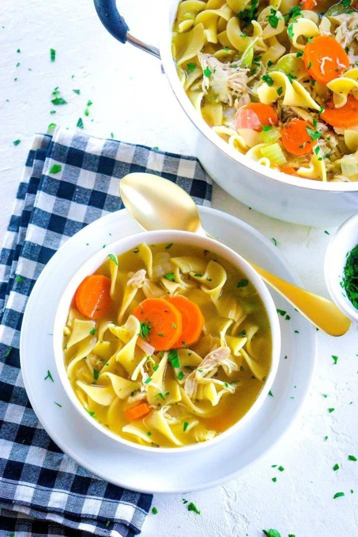 Chicken and Dumplin'/Chicken Noodle Soup Mix