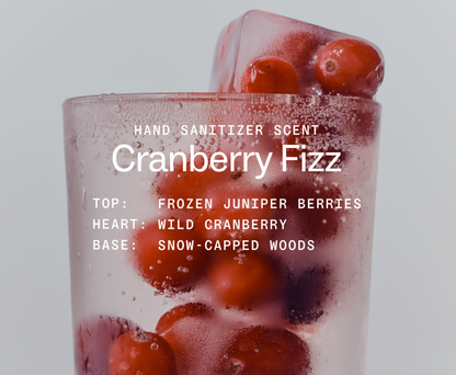 Cranberry Fizz Power Mist Hand Sanitizer