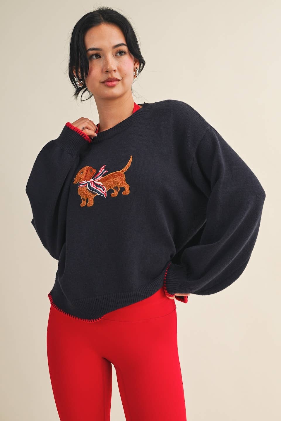 Patriotic Dachshund Sweater