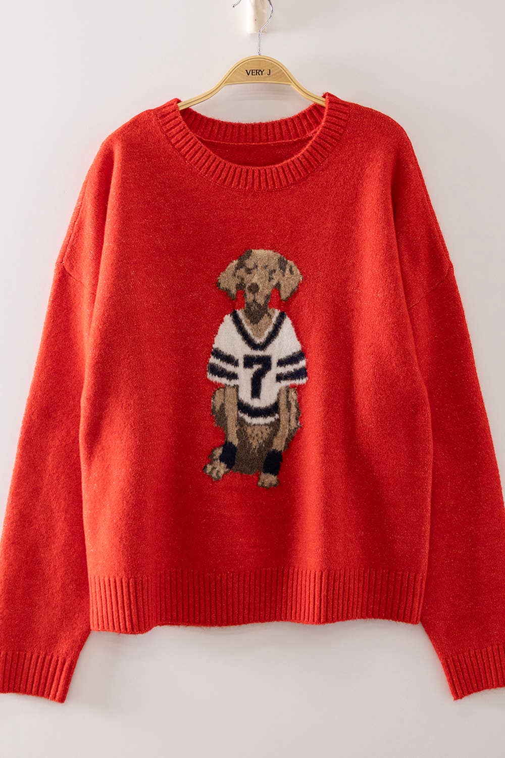 Football Dog Graphic Knit Sweater-Red