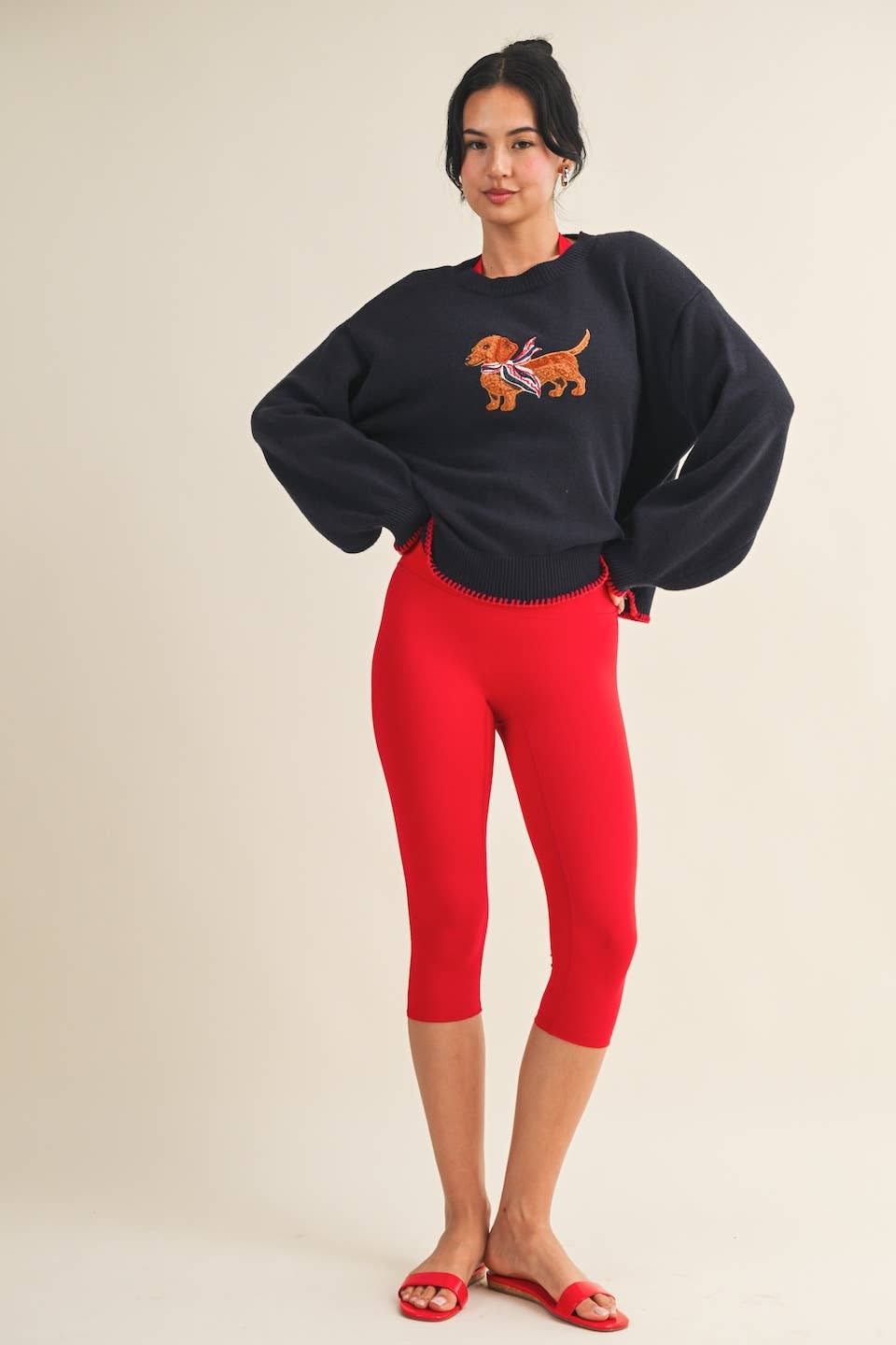 Patriotic Dachshund Sweater