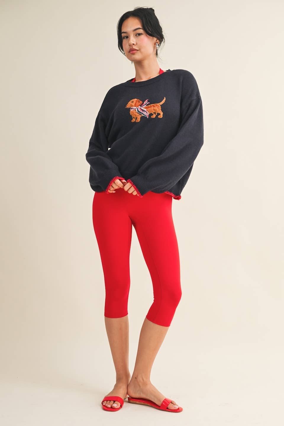 Patriotic Dachshund Sweater