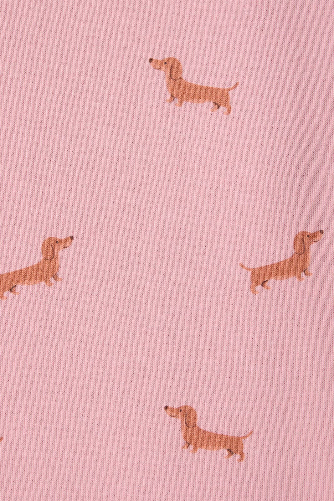 Dachshund Print Sweatshorts